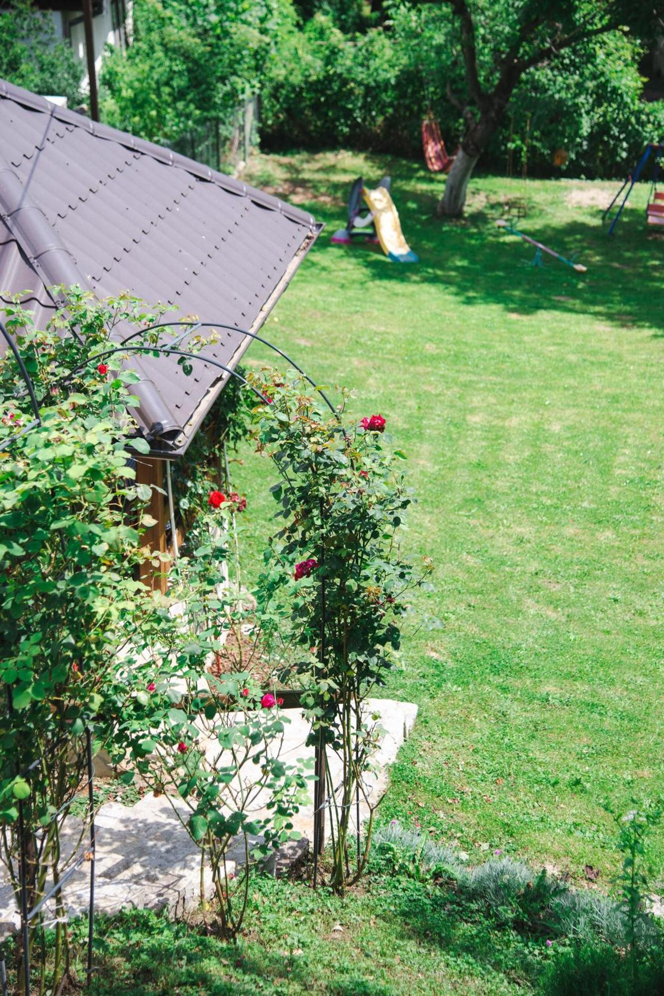 Apartmani Maslacak Vrdnik Zewnętrze zdjęcie